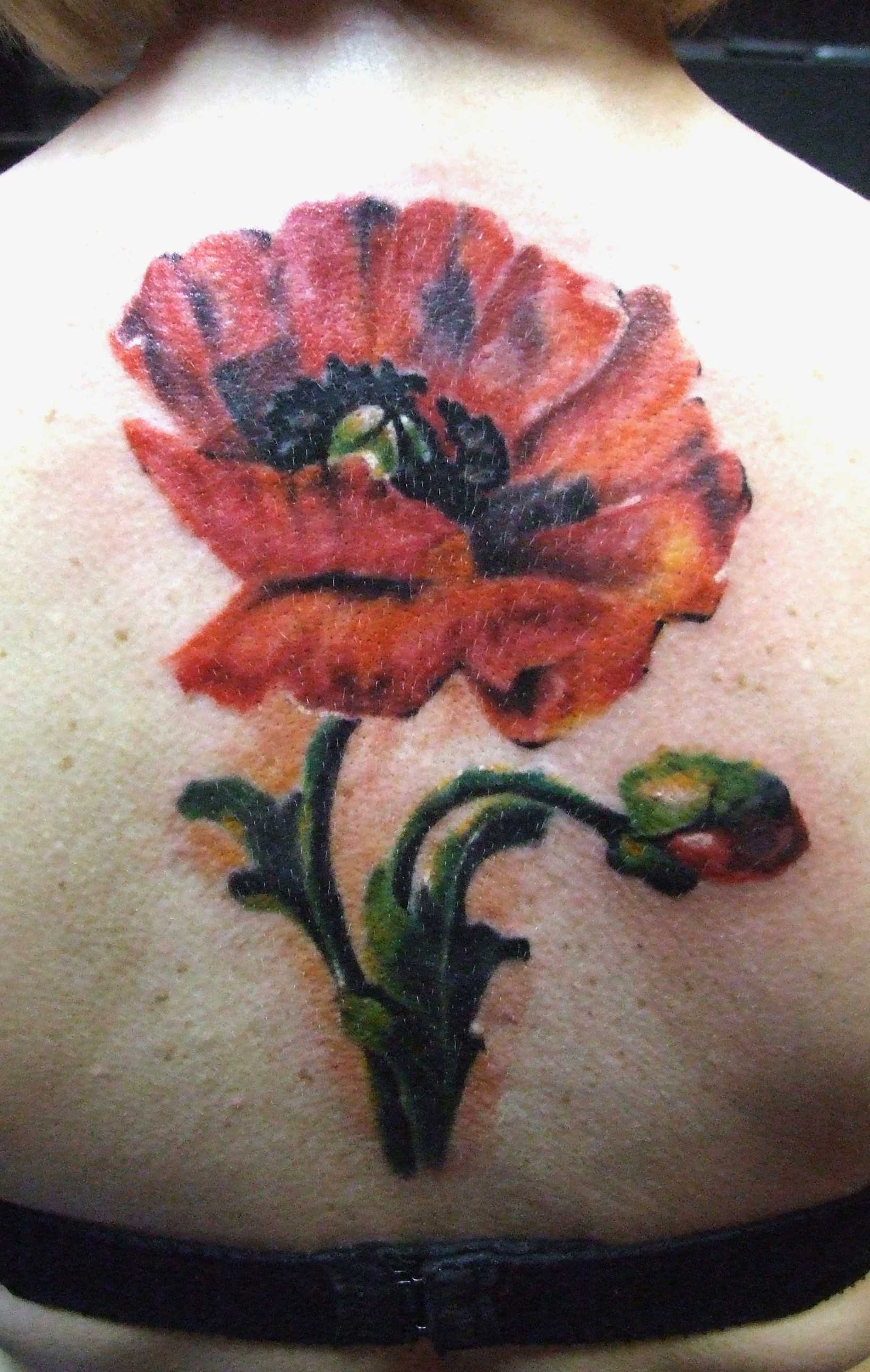 A tatuagem nas costas de uma menina - mack