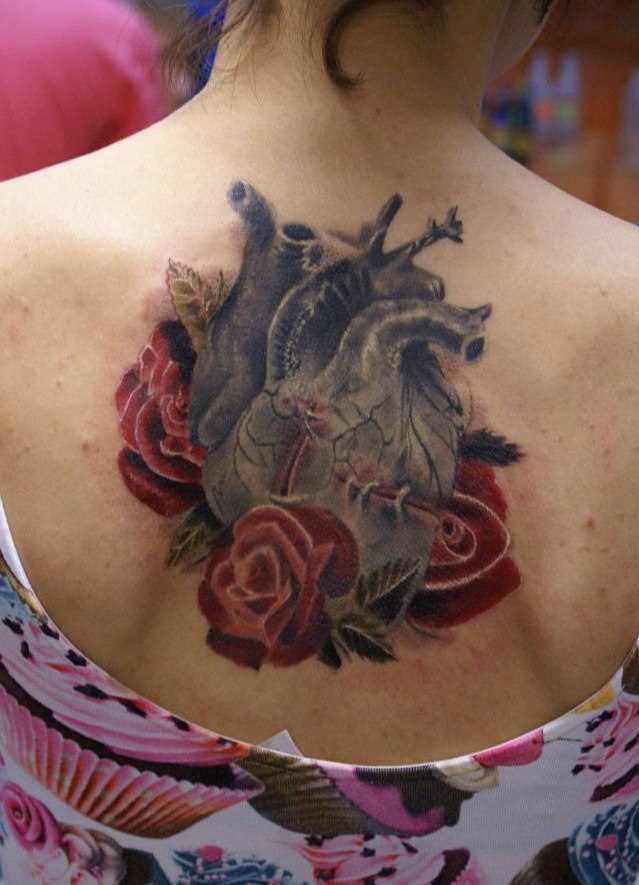 A tatuagem nas costas de uma menina - o coração e rosas