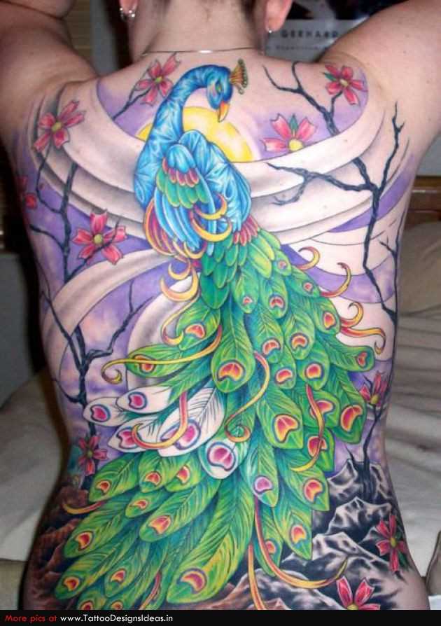 A tatuagem nas costas de uma menina - pavão