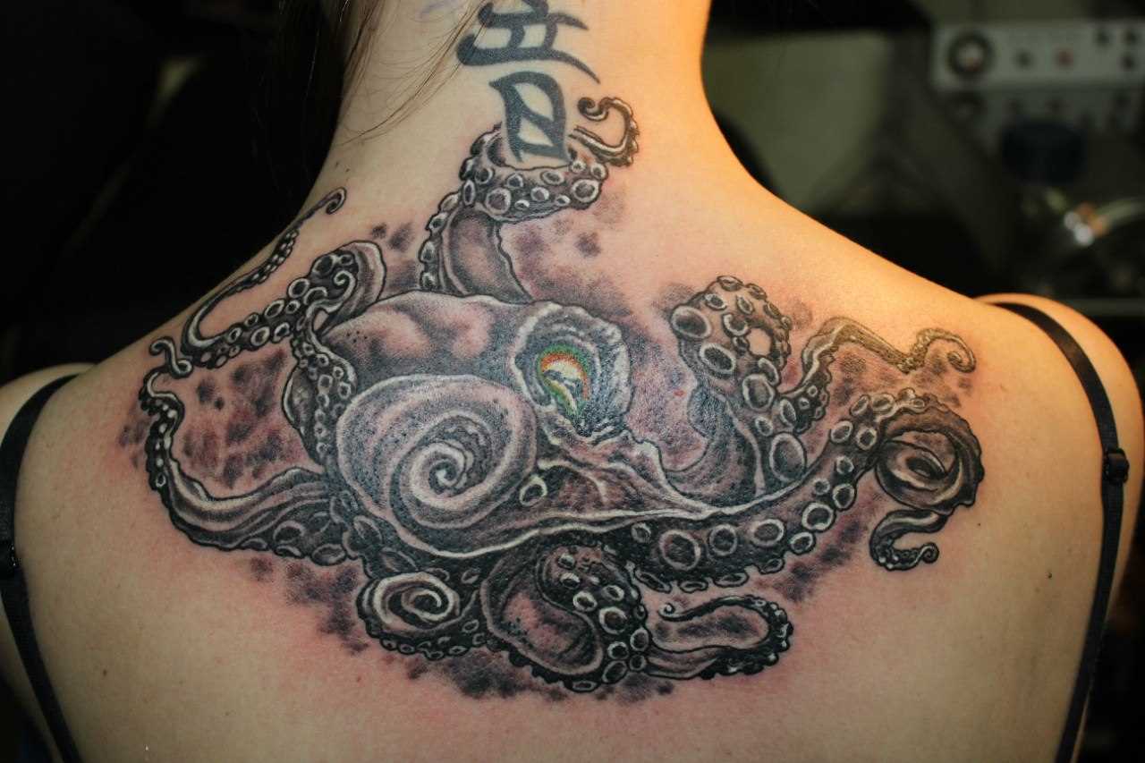 A tatuagem nas costas de uma menina - polvo