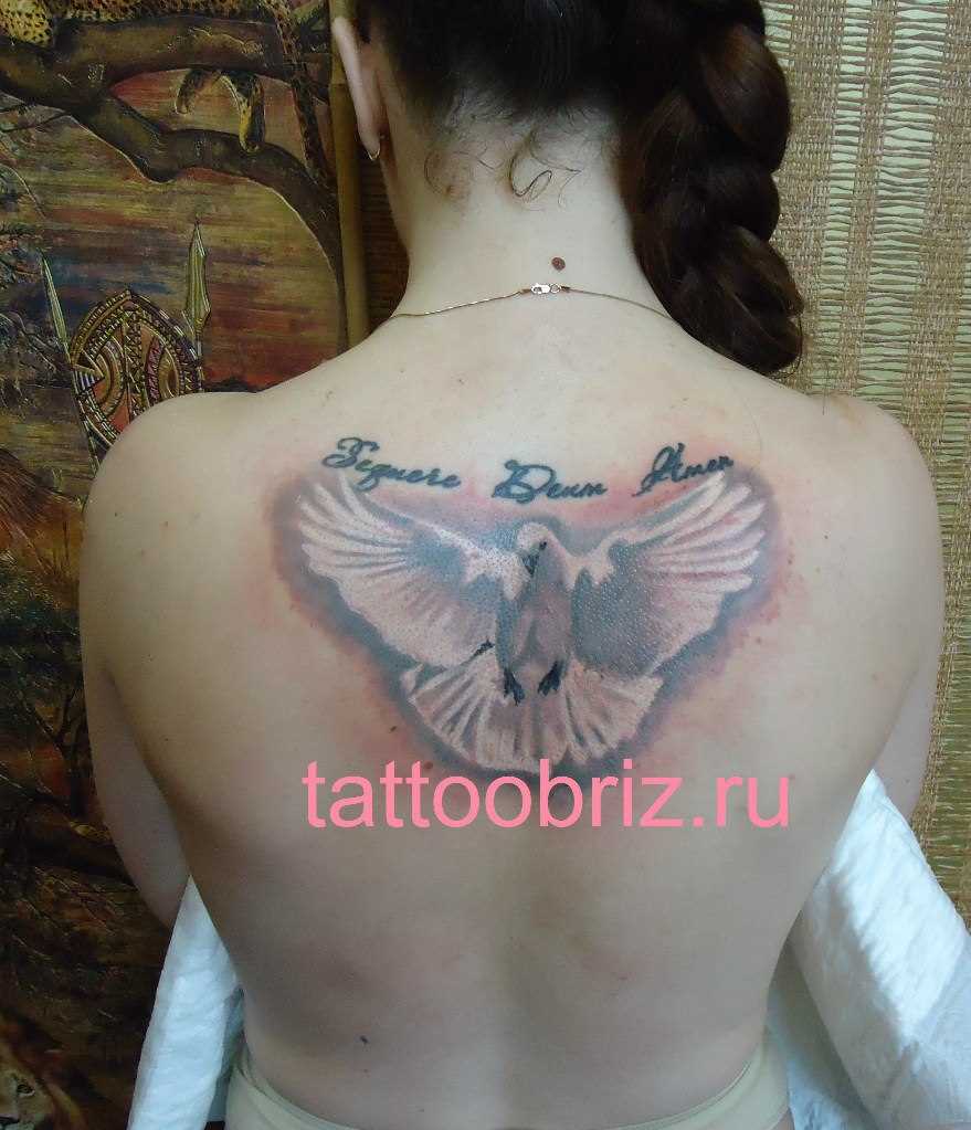 A tatuagem nas costas de uma menina - pombo