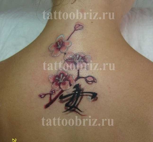 A tatuagem nas costas de uma menina - sakura e o hieróglifo