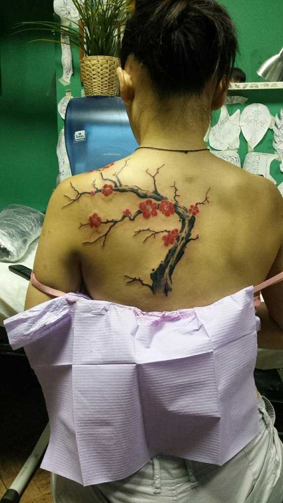 A tatuagem nas costas de uma menina - sakura