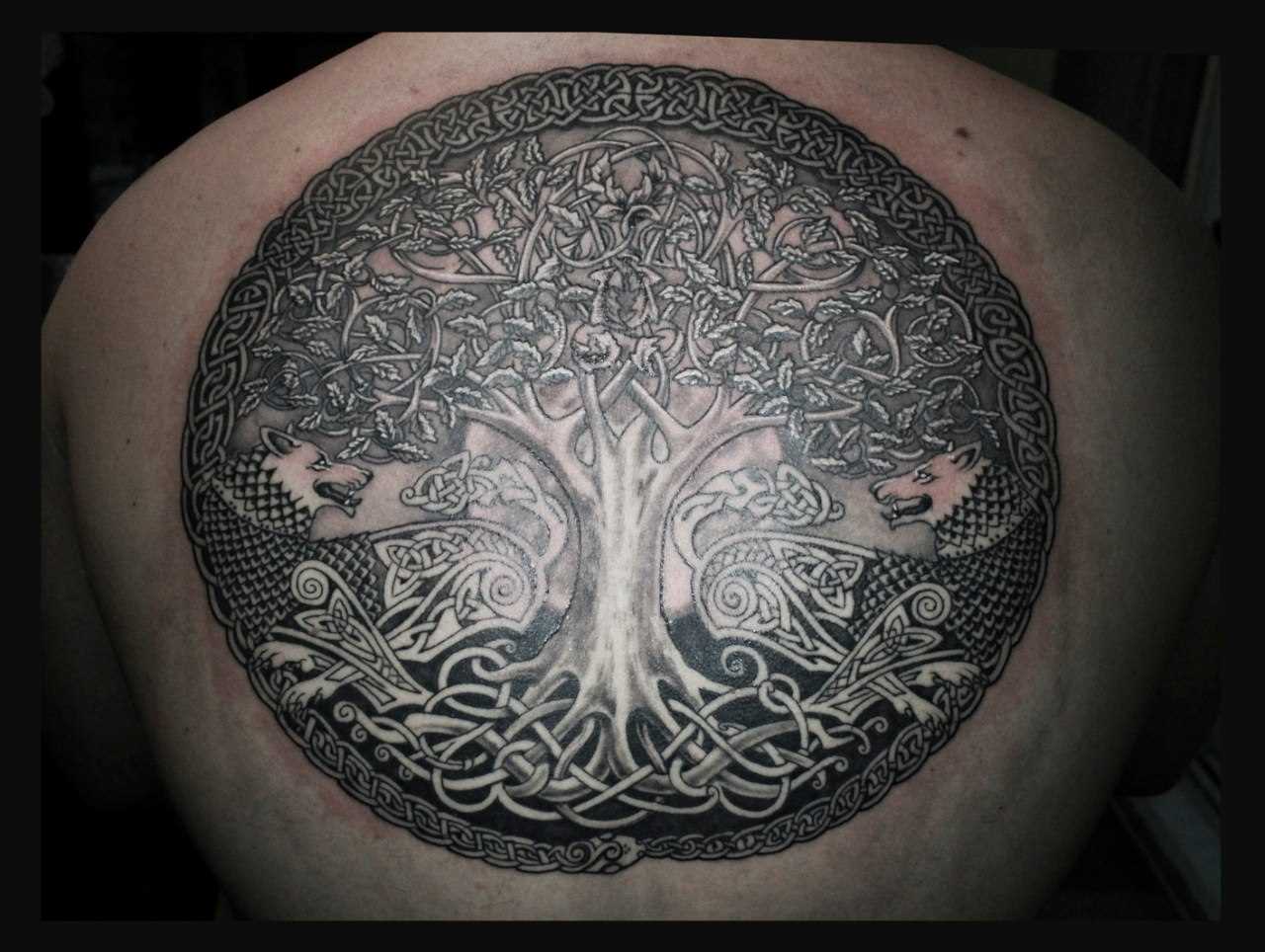 A tatuagem nas costas do cara - a árvore