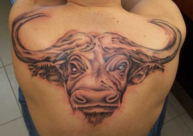 A tatuagem nas costas do cara - cabeça de touro