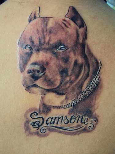 A tatuagem nas costas do cara - de- cão e a inscrição do nome