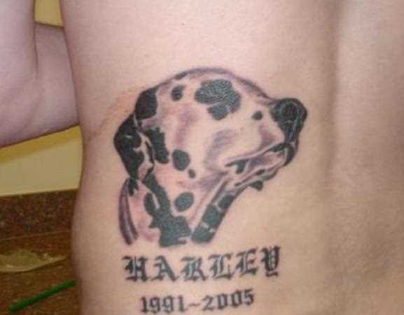 A tatuagem nas costas do cara - de- cão e inscrição