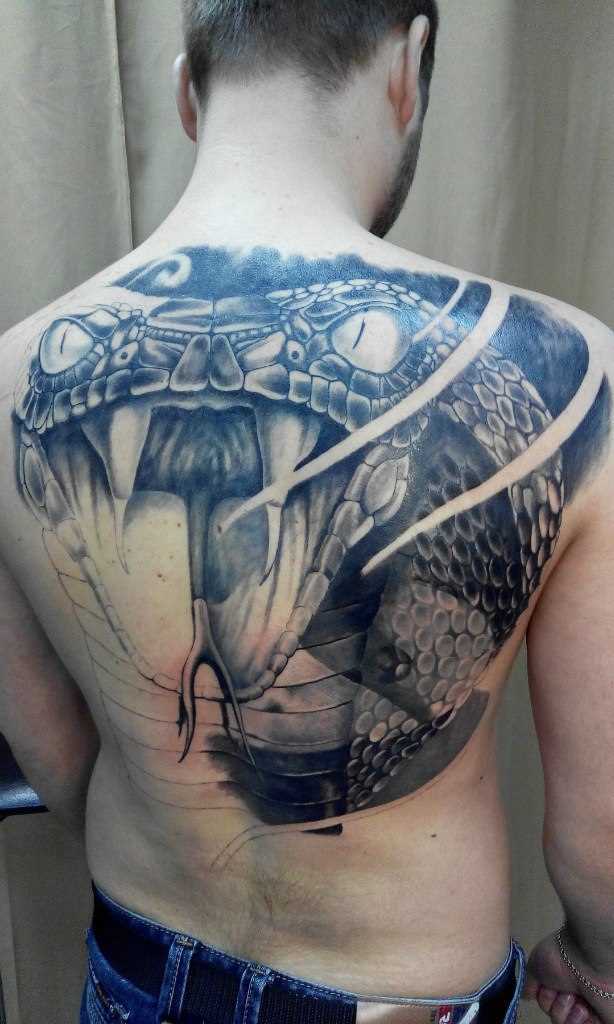A tatuagem nas costas do cara - de- cobra