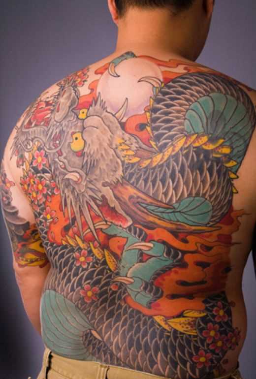 A tatuagem nas costas do cara de dragão, e sakura