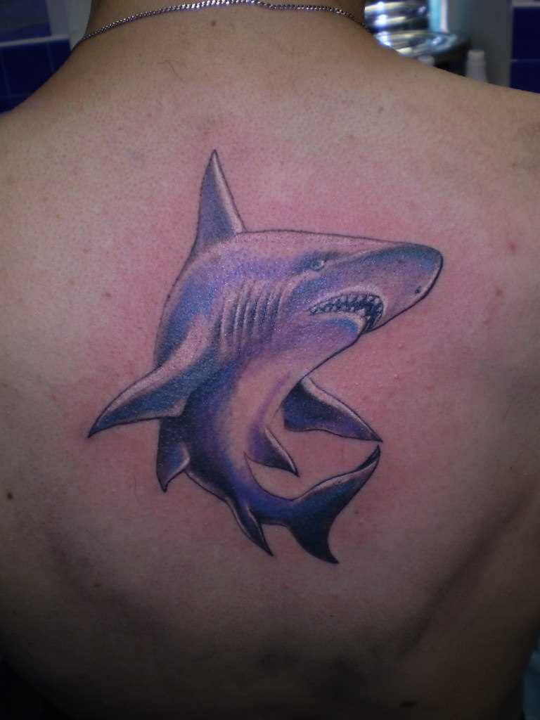 A tatuagem nas costas do cara - de tubarão