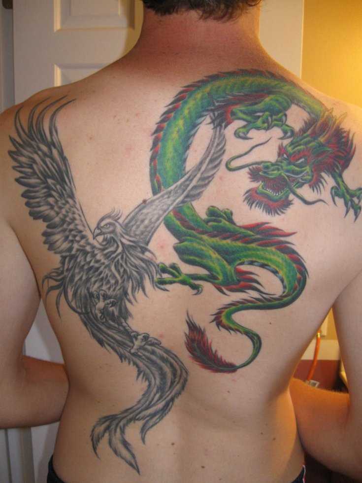 A tatuagem nas costas do cara em forma de dragão e ave Fénix