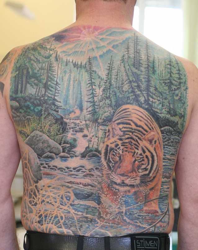 A tatuagem nas costas do cara - o tigre e a floresta