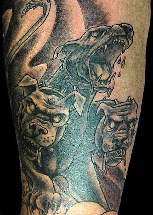 A tatuagem negativo sobre a perna de um cara