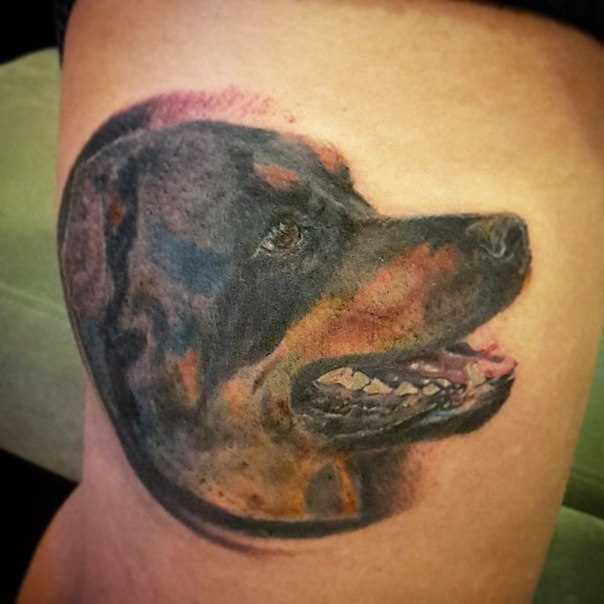 A tatuagem no braço de um cara - de- cão