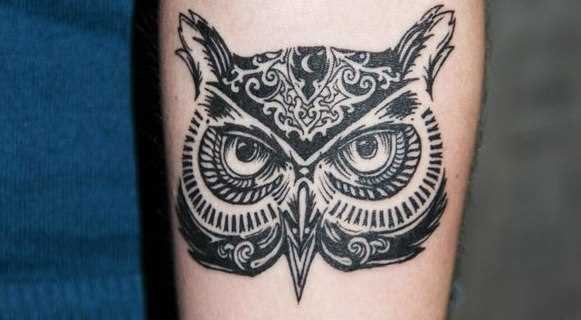 A tatuagem no braço de um cara - de- coruja