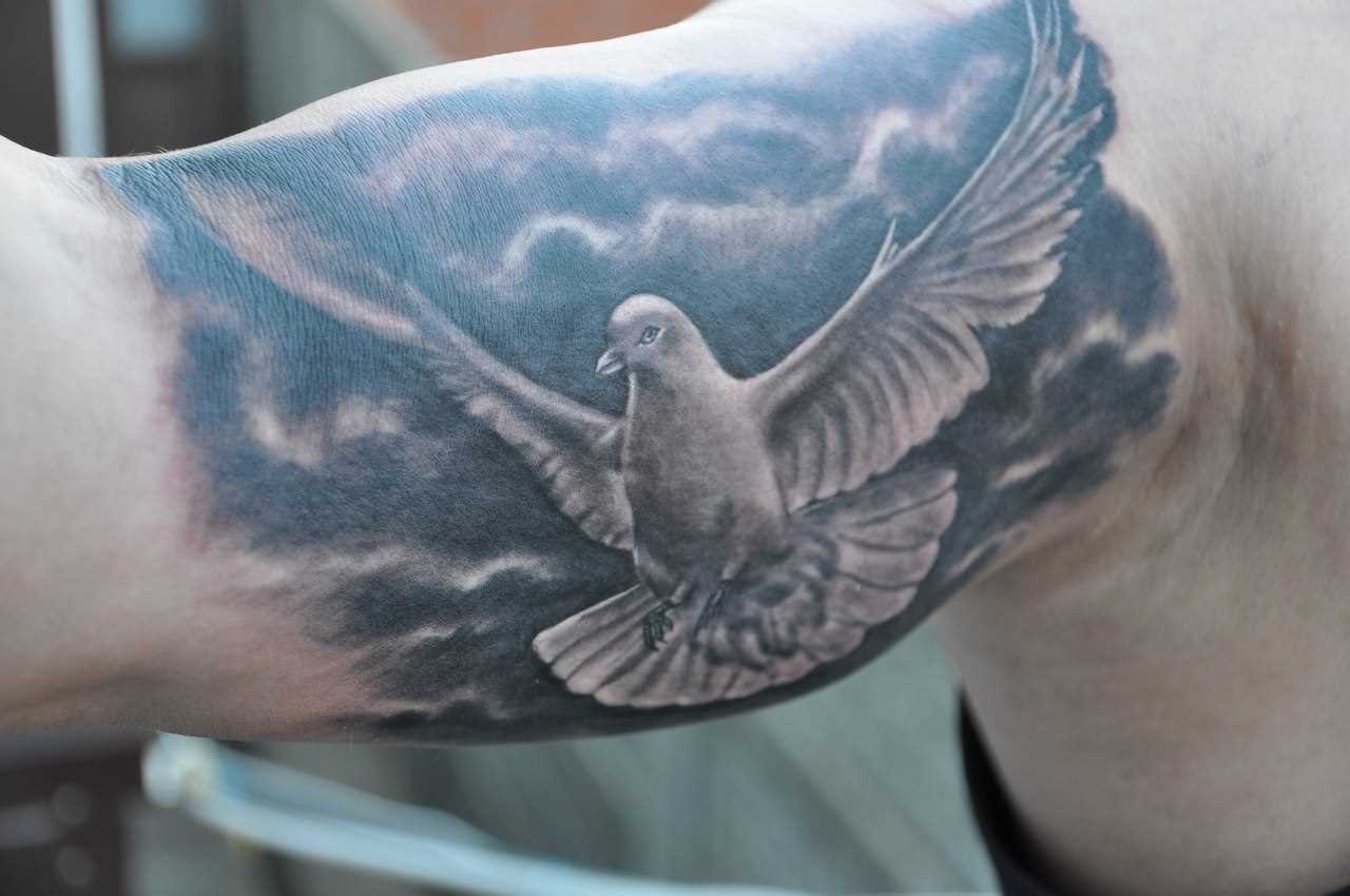 A tatuagem no braço de um cara - de- pombo