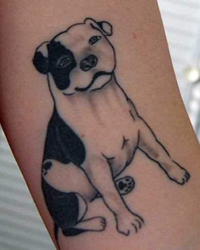 A tatuagem no braço de uma menina - cão