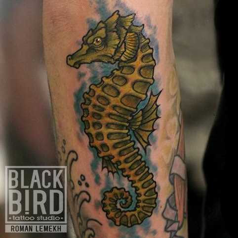 A tatuagem no braço de uma menina - o cavalo-marinho