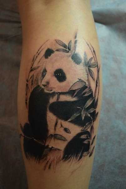 A tatuagem no braço de uma menina - panda
