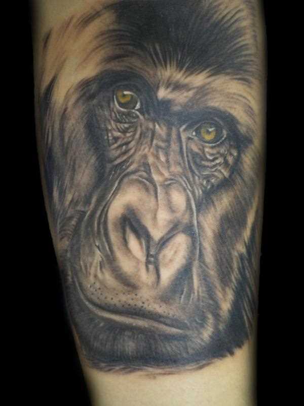 A tatuagem no braço do cara de macaco