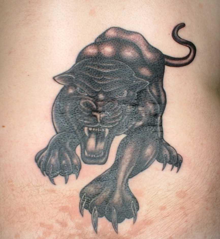 A tatuagem no cóccix o cara - pantera