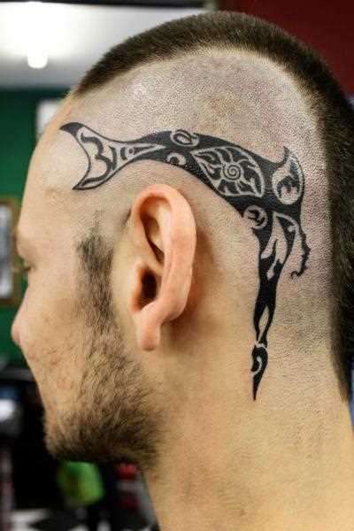 A tatuagem no estilo tribal na cabeça de um cara - de tubarão