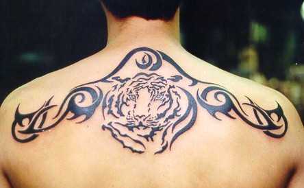 A tatuagem no estilo tribal nas costas do cara - de- tigre