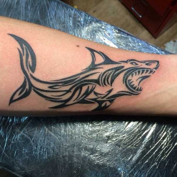 A tatuagem no estilo tribal no braço de um cara - de tubarão