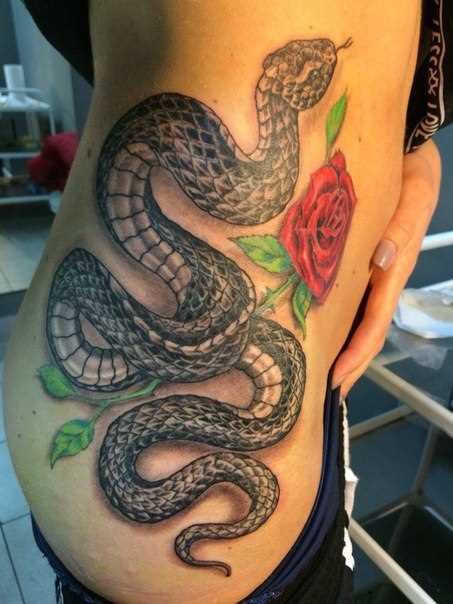 A tatuagem no lado da menina - a serpente e a rosa