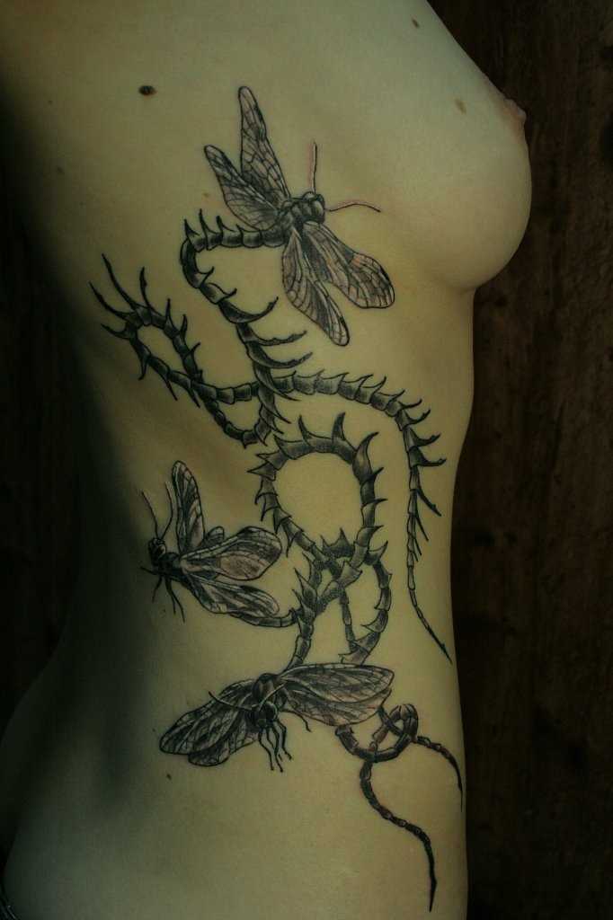 A tatuagem no lado da menina - libélula