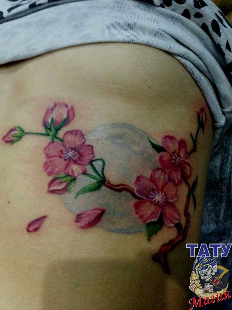 A tatuagem no lado da menina - sakura