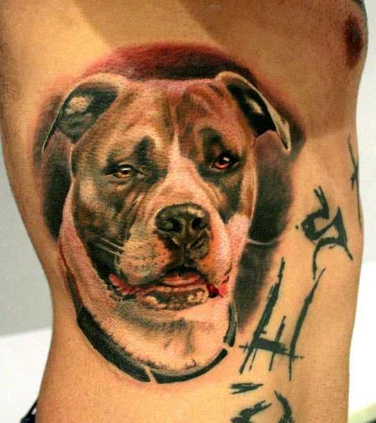 A tatuagem no lado do cara com a imagem do cão