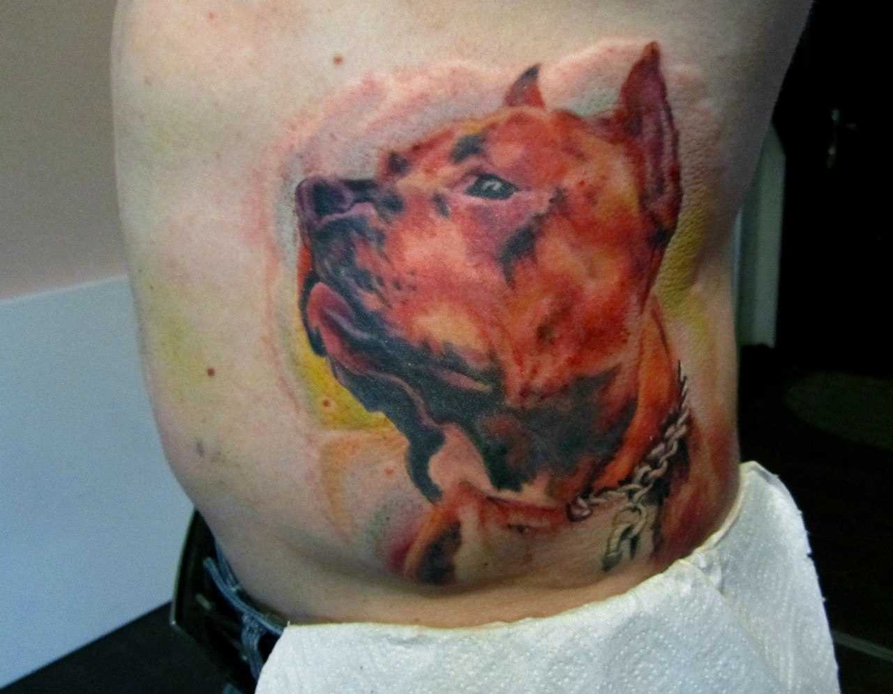 A tatuagem no lado do cara - de- cão
