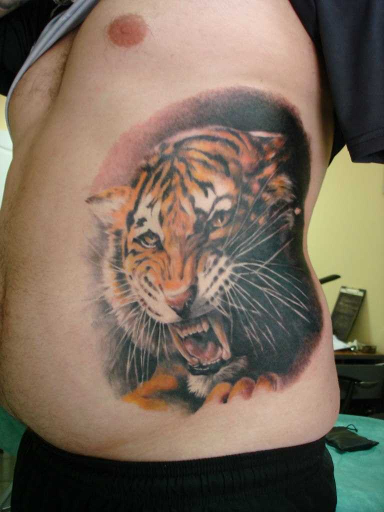 A tatuagem no lado do cara - de- tigre