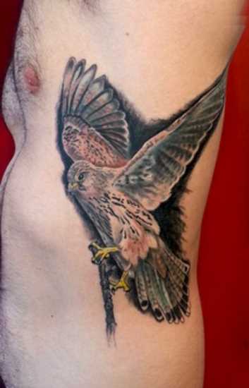 A tatuagem no lado do cara - falcão