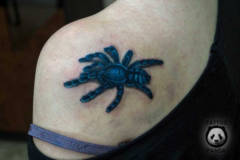A tatuagem no ombro da menina - aranha