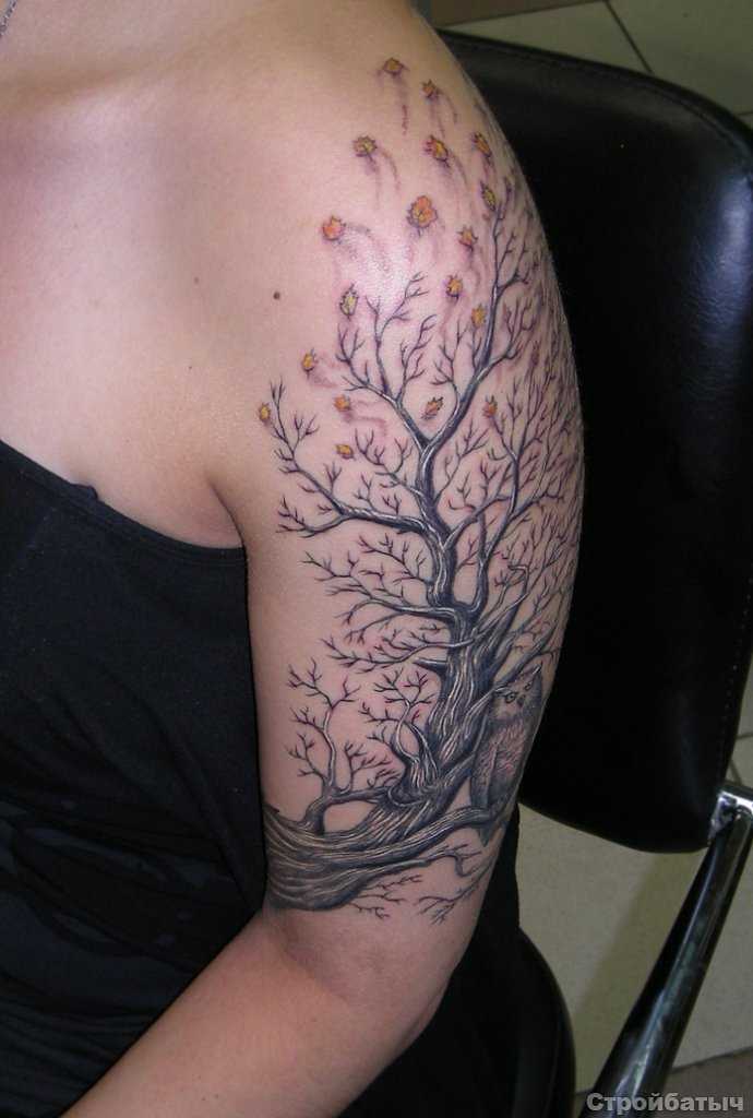 A tatuagem no ombro da menina - árvore