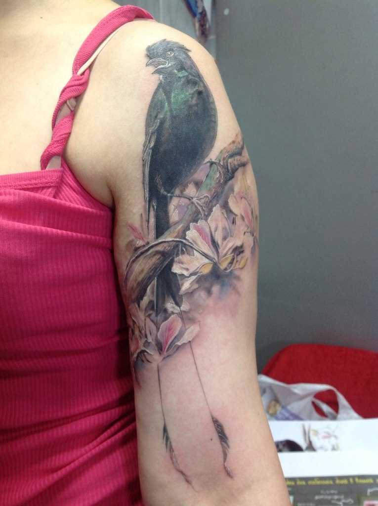 A tatuagem no ombro da menina - corvo e flores