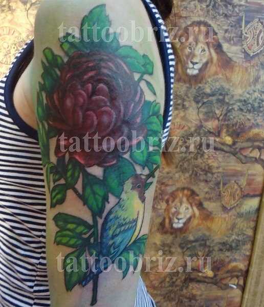 A tatuagem no ombro da menina - flor e beija-flor