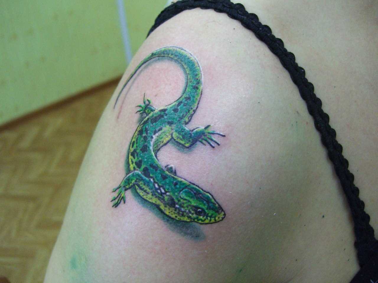A tatuagem no ombro da menina - lagarto