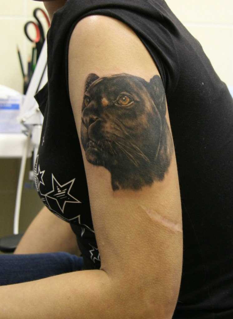 A tatuagem no ombro da menina - pantera