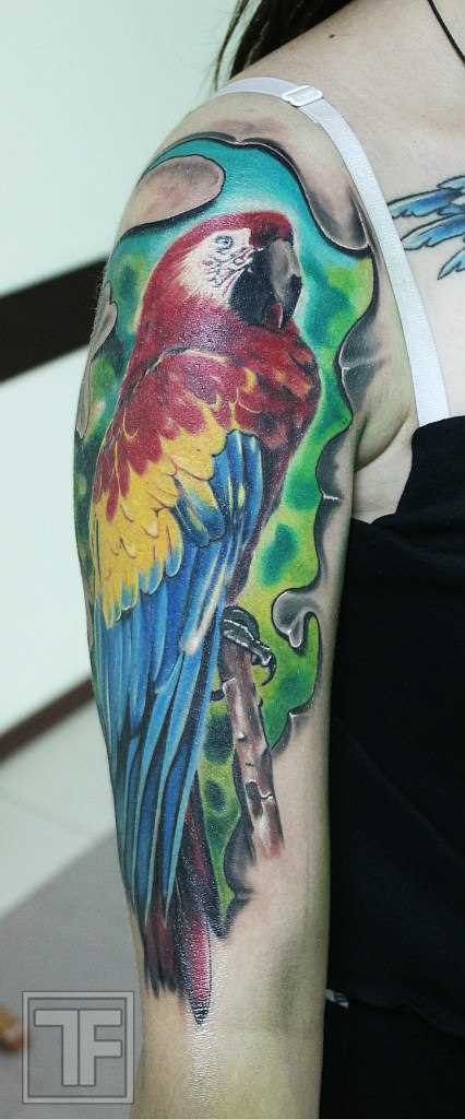 A tatuagem no ombro da menina - papagaio