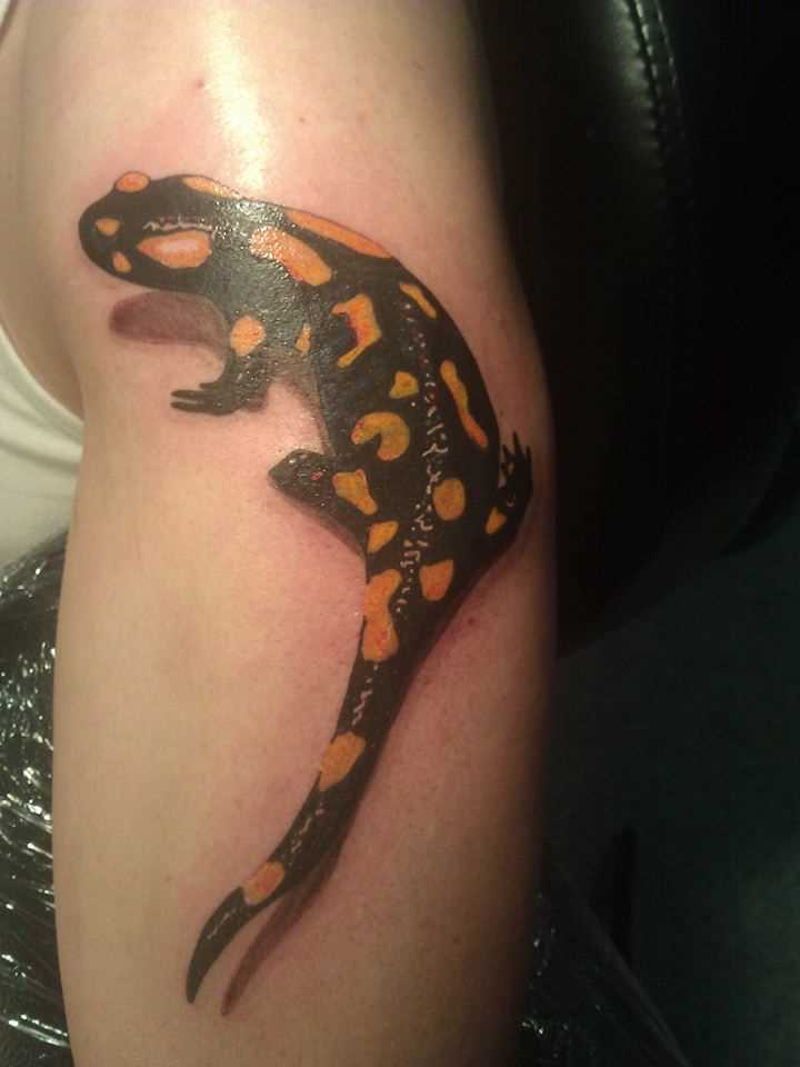 A tatuagem no ombro da menina - salamandra