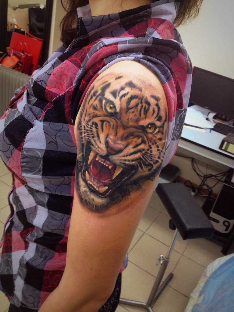 A tatuagem no ombro da menina - tigre