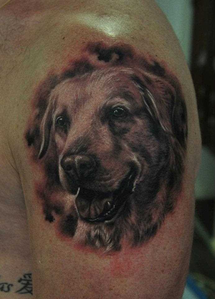 A tatuagem no ombro de um cara - a cabeça de um cão