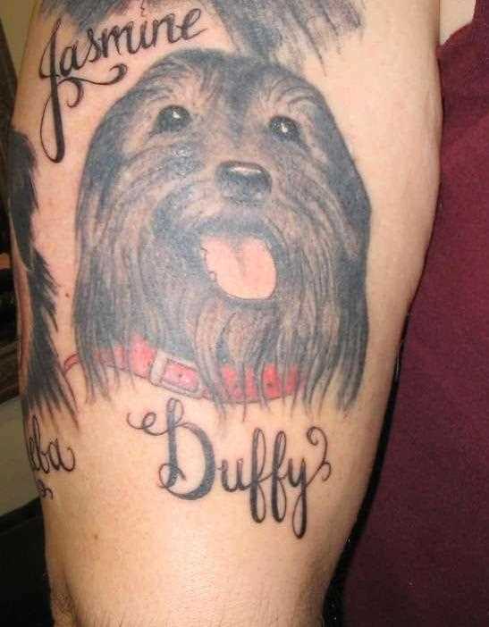 A tatuagem no ombro de um cara como o cão e inscrições