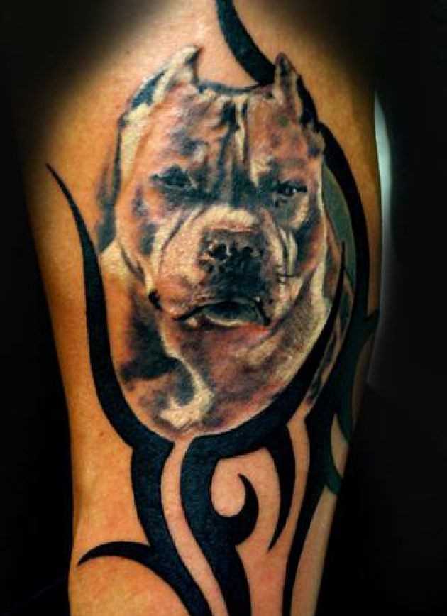 A tatuagem no ombro de um cara como o cão e o padrão de