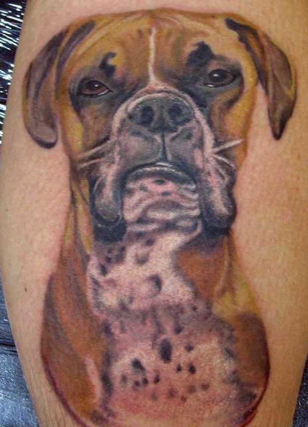 A tatuagem no ombro de um cara - de- cão