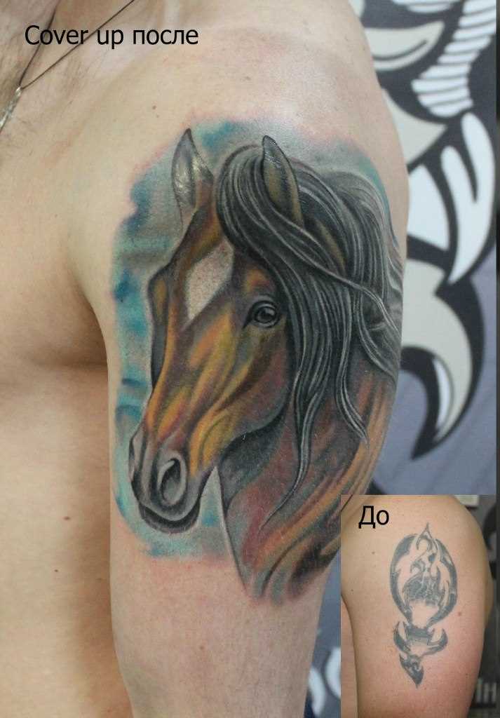 A tatuagem no ombro de um cara - de- cavalo