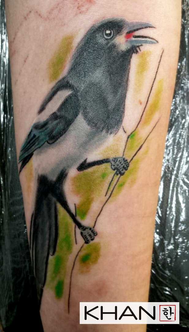 A tatuagem no ombro de um cara - de- corvo